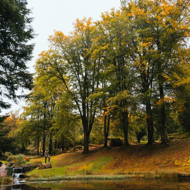 Høst i Ravnedalen