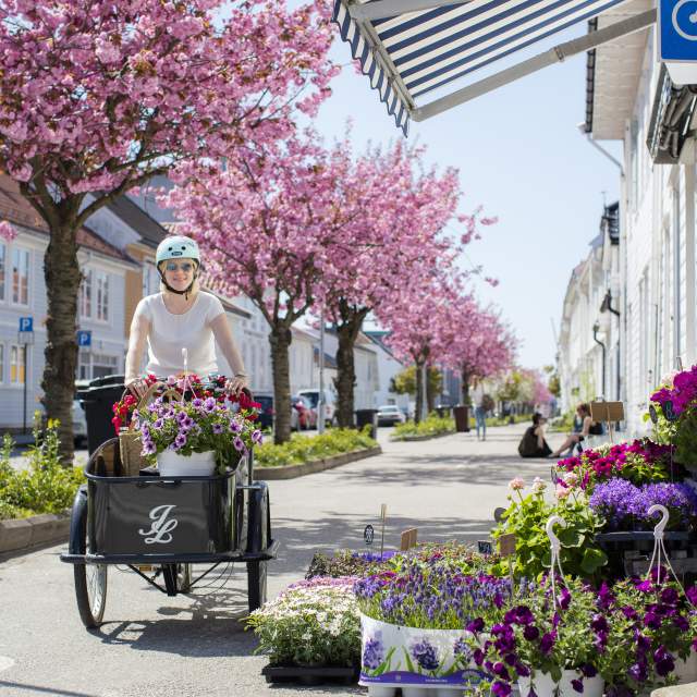 Blomstring i Posebyen