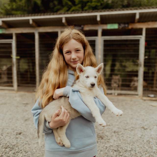 Barn holder valp på Sirdal Husky Farm