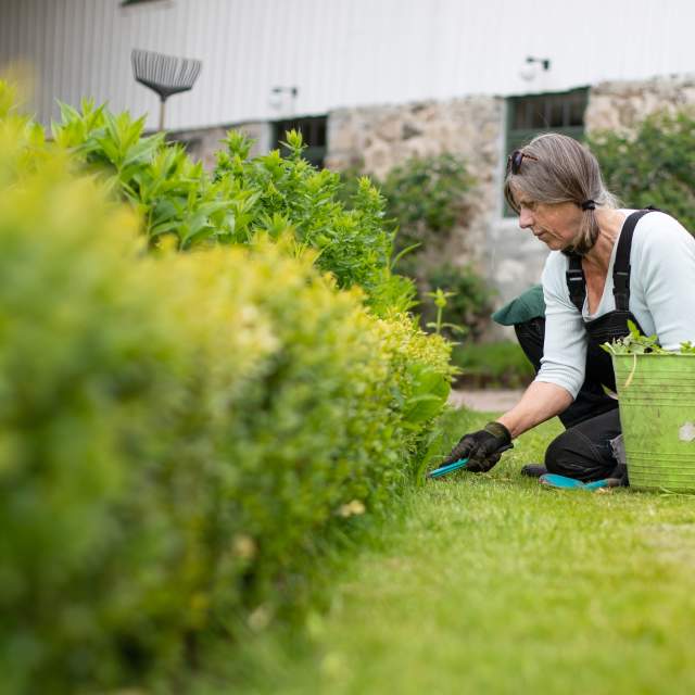 Kjøkkenhage på Boen gård på Tveit