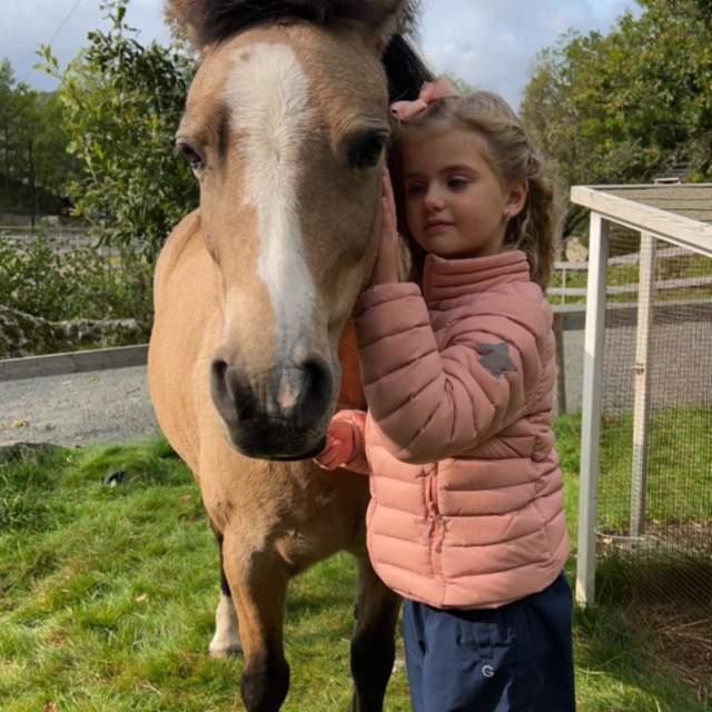 Barn klapper hest på Nuland Gaard
