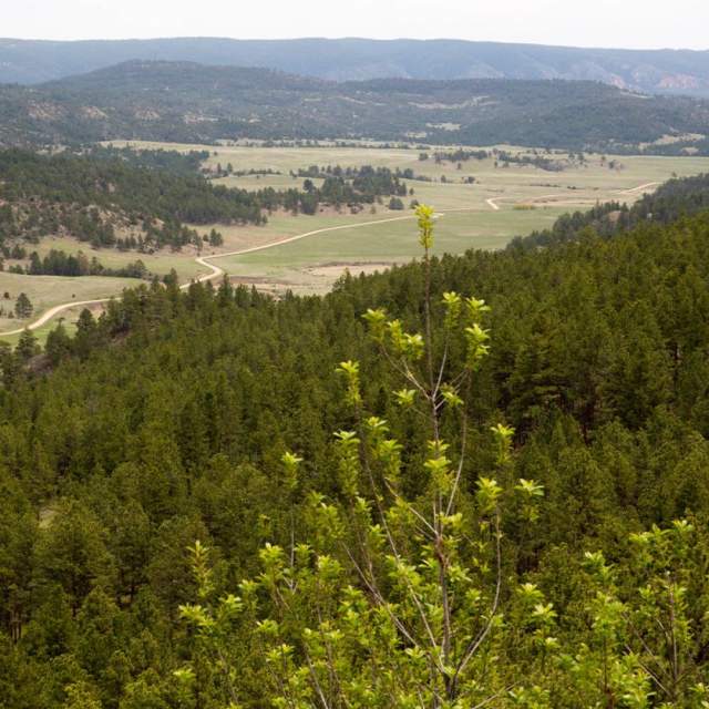 Black Hills Scenic Byway