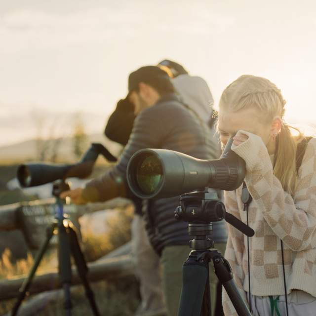 Grand Teton National Park, Jackson Hole, Family Wildlife Viewing