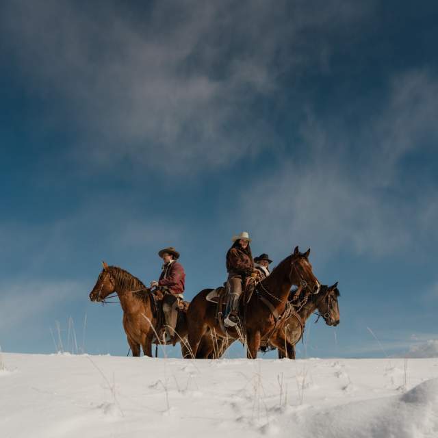 Horseback Riding Winter