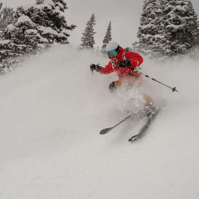 A skier carves through deep powder in a snow-covered evergreen forest near Jackson, Wyoming. Fresh snow sprays around the skier as they descend through the trees, highlighting powder skiing and winter recreation in Teton County.