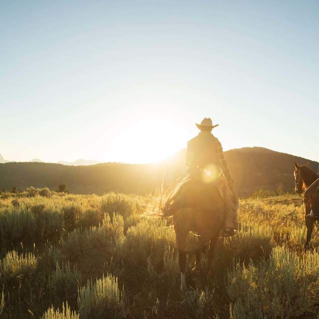 Cowboys on horseback riding through an open Wyoming landscape under a sunny sky.