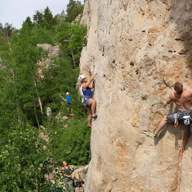 Rock climbers scaling a mountainside in the forest.