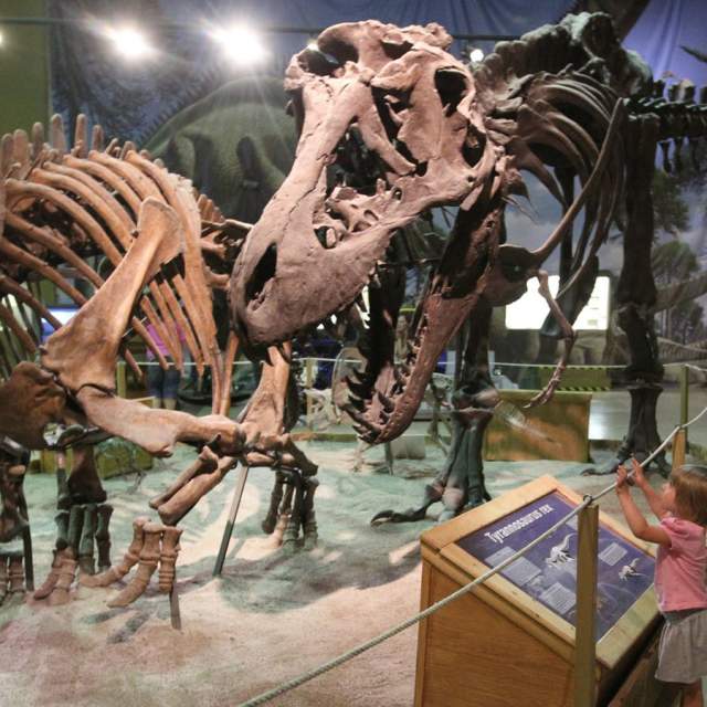 Wyoming Dinosaur Center - Thermopolis