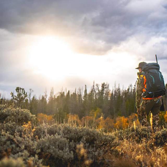 Two sportsmen with gear hiking throigh sage filled field at sunset.