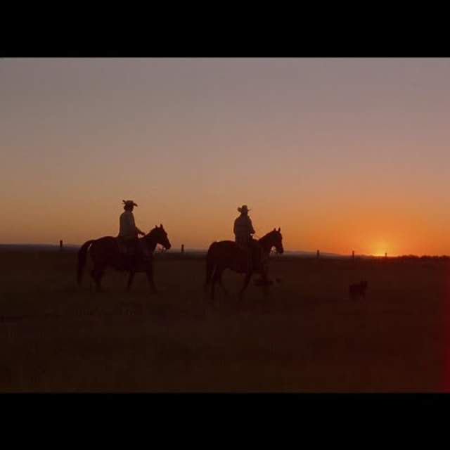 Mavericks Wanted: The Ranch Life -  Riding into a Wyoming Sunset  🐎☀️ #Shorts