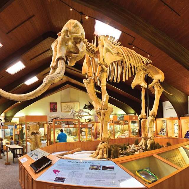 Tate Geological Museum at Casper College