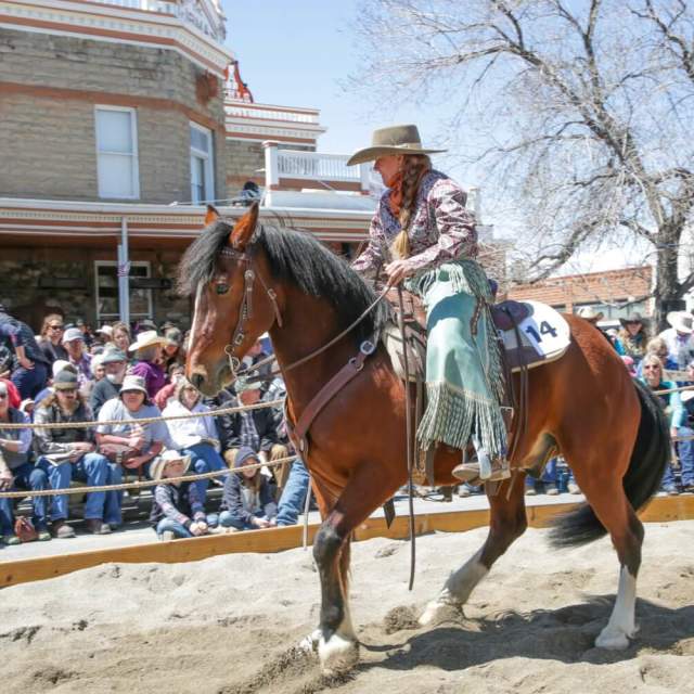 Cody Country Horse Sale