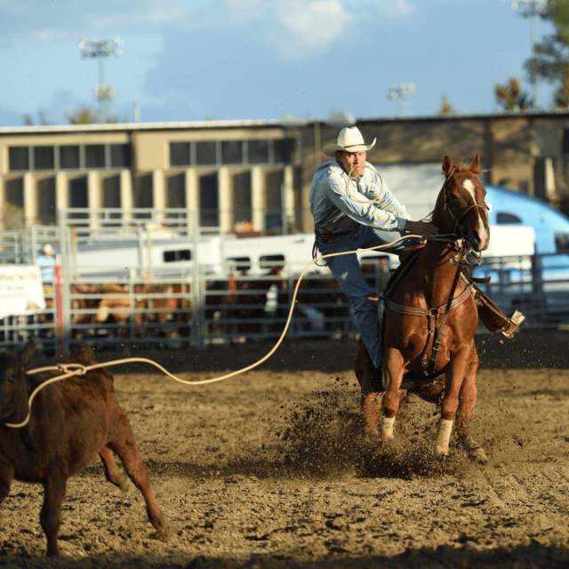 Overland Stage Stampede Rodeo