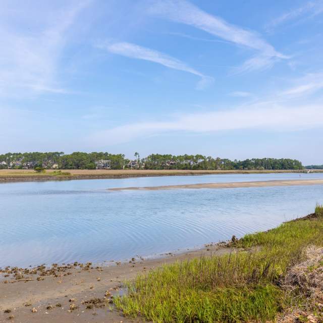 Junior Naturalist: Salt Marsh Investigations