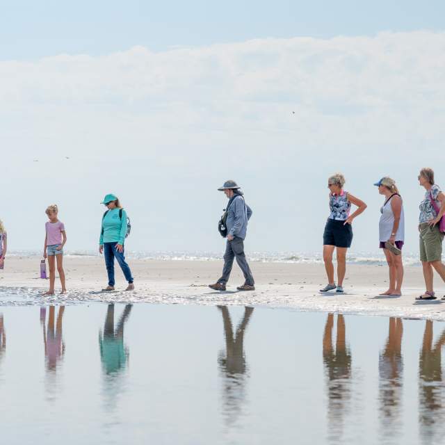Seashore Exploration