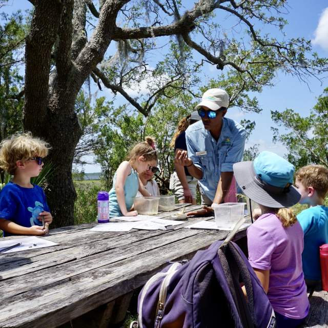 Homeschool in the Parks: The Return Flight