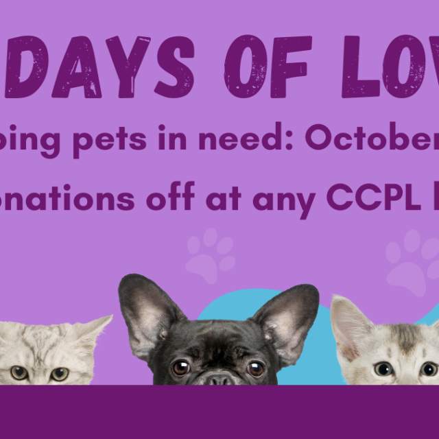 31 Days of Love Pet Adoption Event