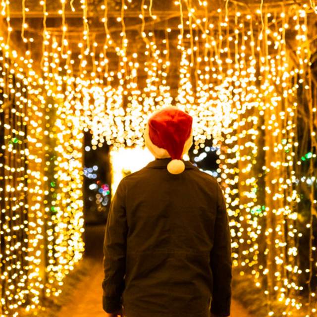 Holiday Lights at Cape Fear Botanical Garden