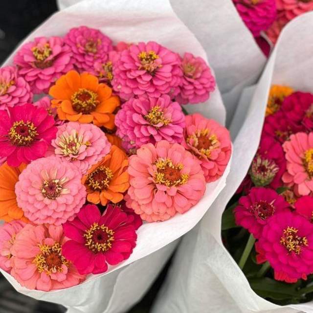 Cut & Carry Floral Design Class at the Garden