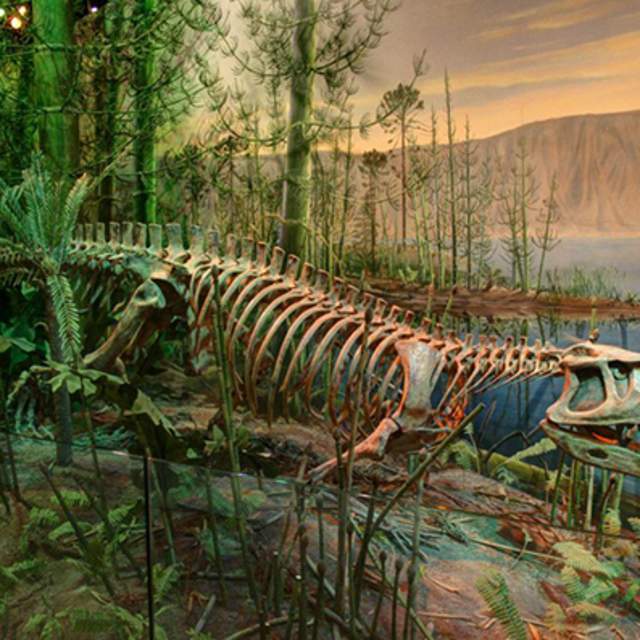 Park Ranger Chats at Lake Rim Park: Prehistoric NC
