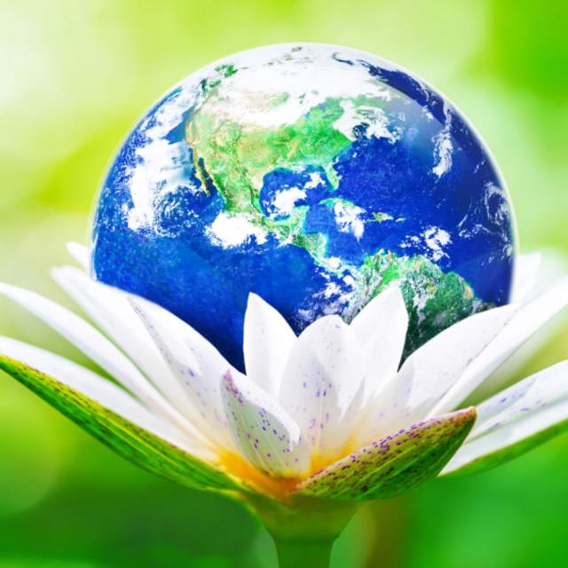 Weeklong Camp: Earth-topia (Ages 8-12)