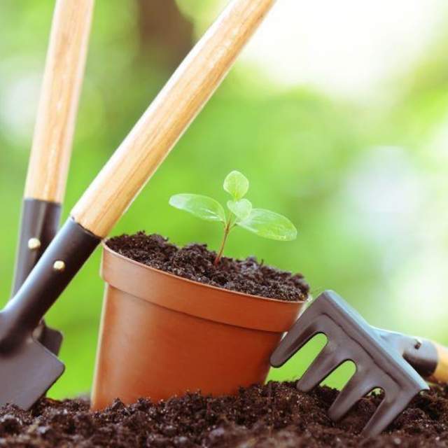 Gardening from the Ground Up