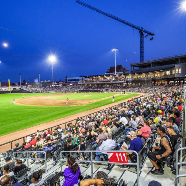 Fayetteville Woodpeckers Baseball: Arts in the Ballpark