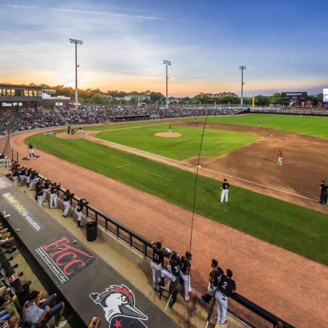 Fayetteville Woodpeckers Baseball: Bark in the Park