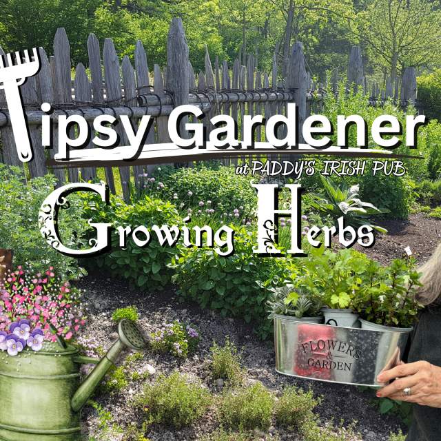 The Tipsy Gardener presents Growing Herbs
