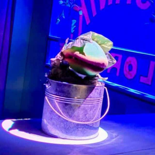Little Shop of Horrors