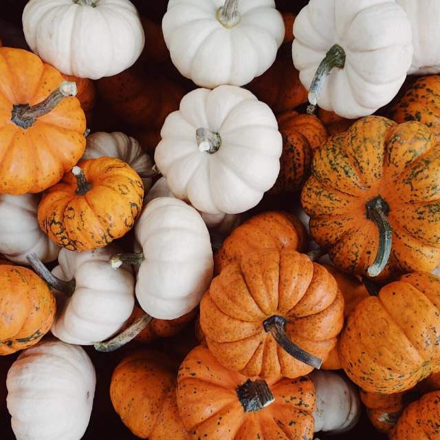 Fall Clay Pumpkin Painting