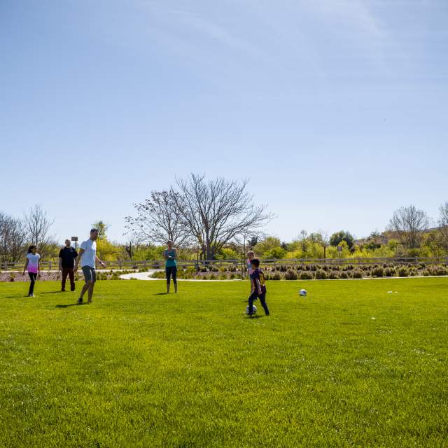Gilroy City Parks