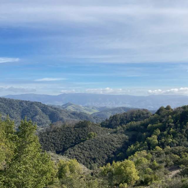 Mt Madonna County Park