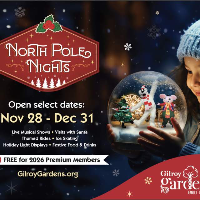 North Pole Nights