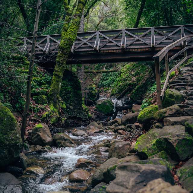 Uvas Canyon County Park