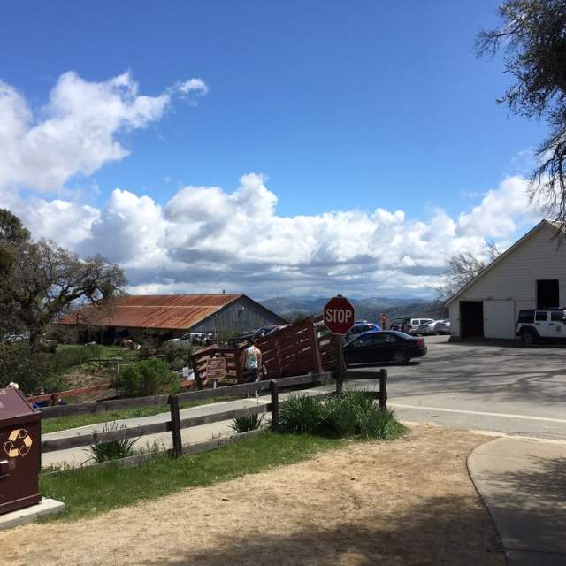 Henry W. Coe State Park