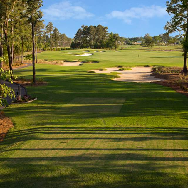 Country Club- Golden Nugget