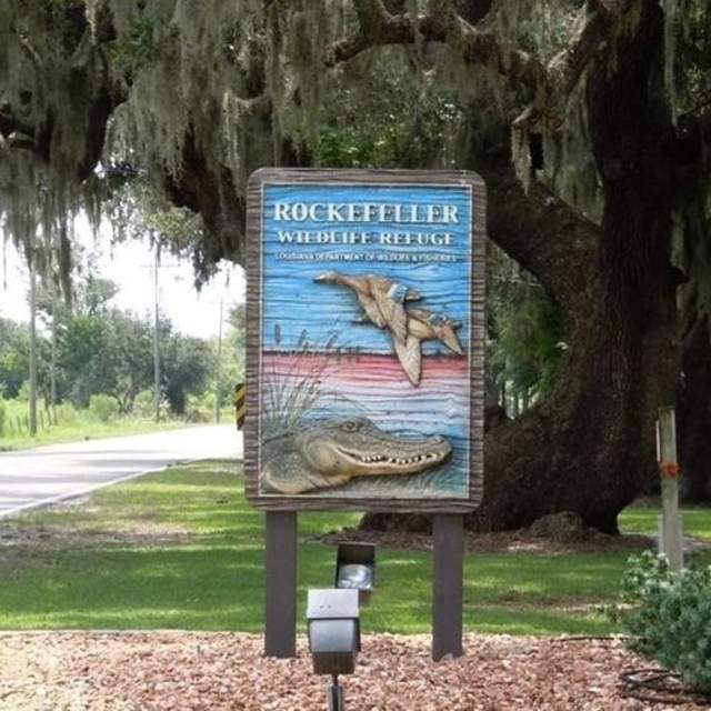 Rockefeller Wildlife Refuge