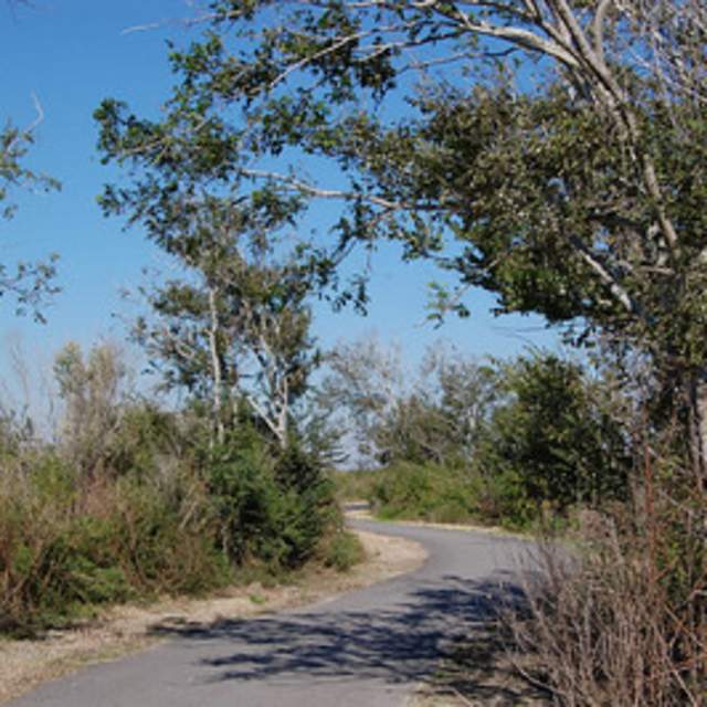 The Blue Goose Trail