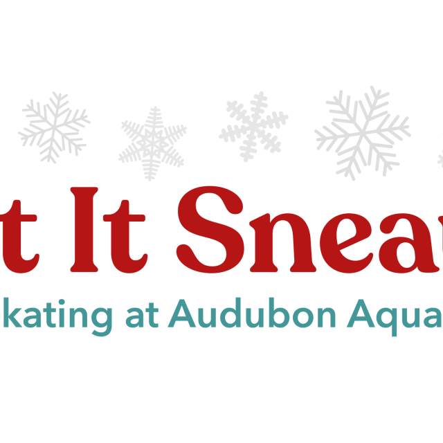 Let it Sneaux at Audubon Aquarium