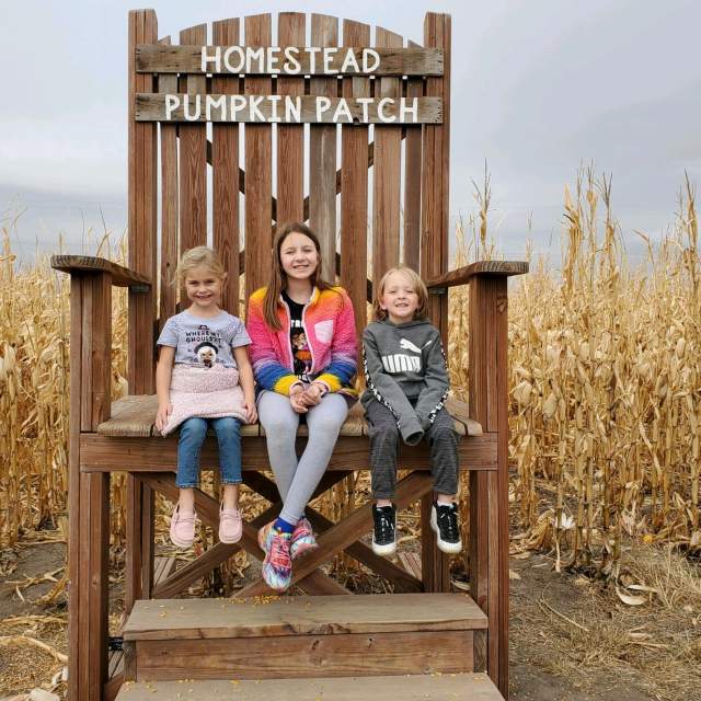 Homestead Pumpkin Patch