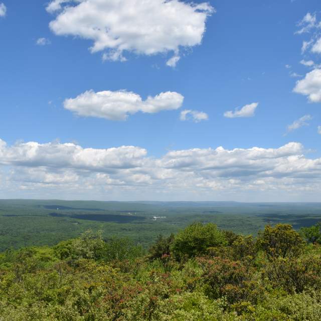 A Guide to Promised Land State Park in the Poconos, PA – ESCAPE BROOKLYN