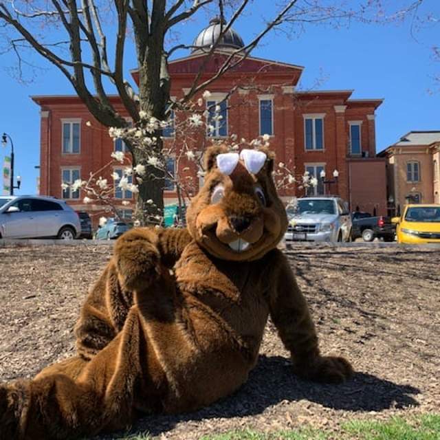 Easter Eggstravaganza Hunt