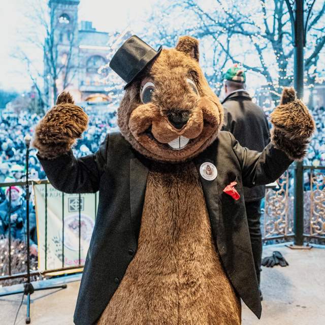 Groundhog Days Prognostication