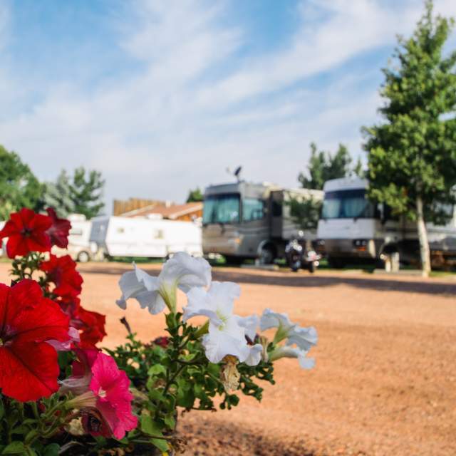 Lazy R Campground and Cabins