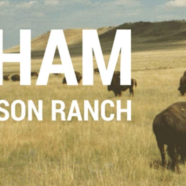 Durham Bison Ranch Tours
