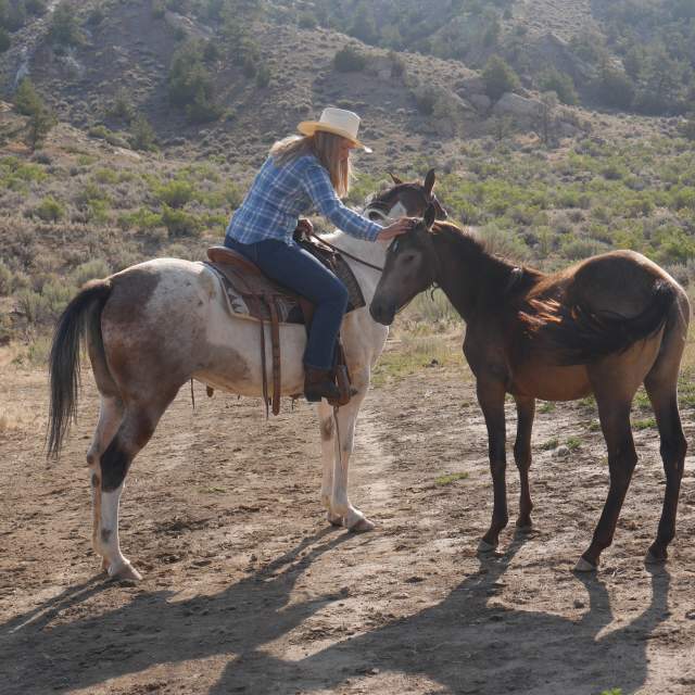 HorseWorks Wyoming