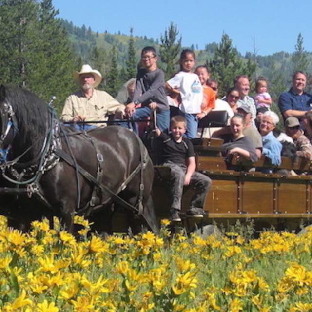 Box Y Lodge & Guest Ranch