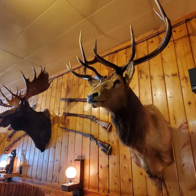 The Rustic Pine Tavern