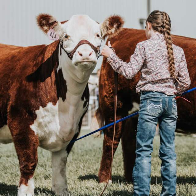 Wyoming State Fair and Rodeo